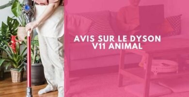 Avis sur le Dyson V11 Animal
