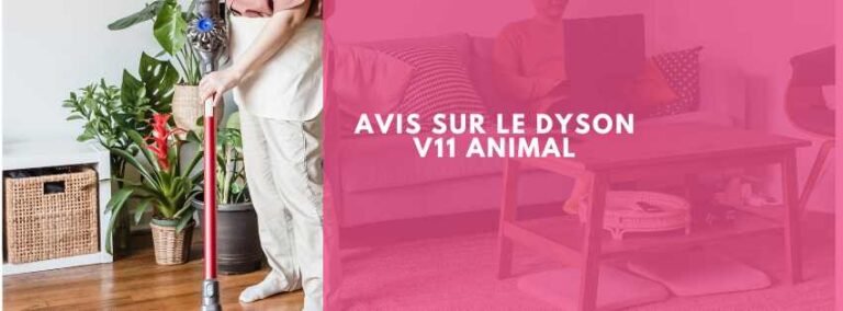 Avis sur le Dyson V11 Animal