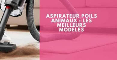 Aspirateur poils animaux : les meilleurs modèles