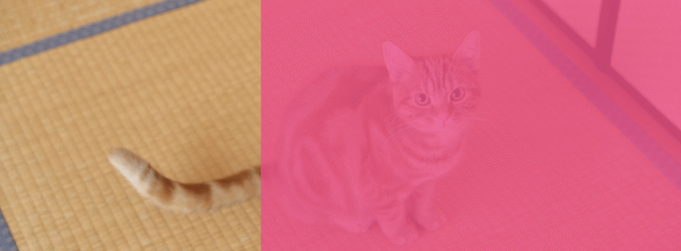 avis aspirateur thomas