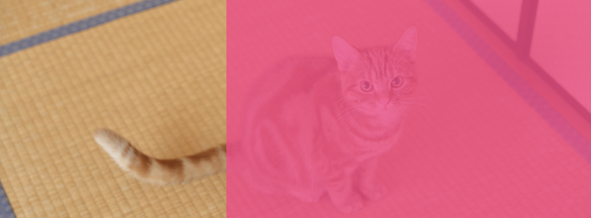 avis aspirateur thomas