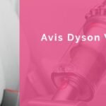 avis dyson v11 infographie