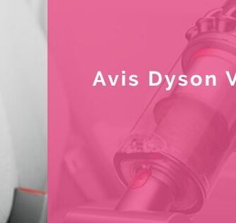 avis dyson v11 infographie