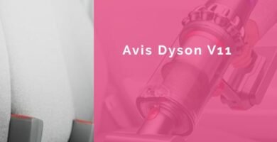 avis dyson v11 infographie