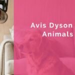 Avis Dyson V8 Animals