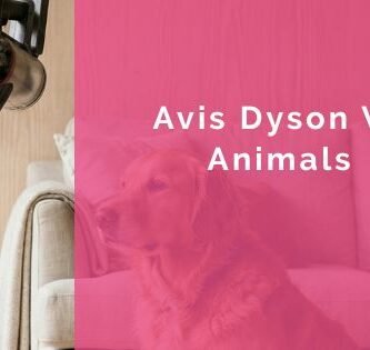 Avis Dyson V8 Animals