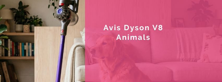 Avis Dyson V8 Animals