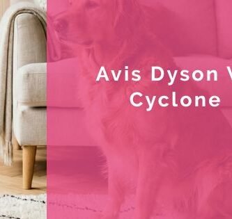 Avis Dyson V8 Cyclone