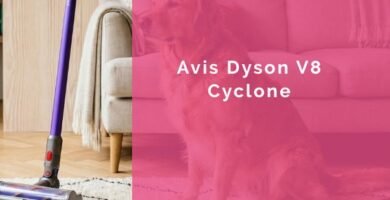 Avis Dyson V8 Cyclone