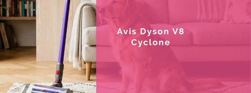 Avis Dyson V8 Cyclone