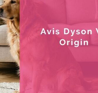 Avis Dyson V8 Origin