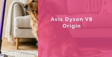 Avis Dyson V8 Origin
