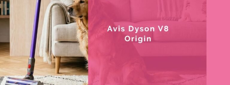 Avis Dyson V8 Origin