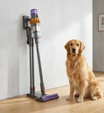 meilleur dyson pour poils danimaux
