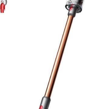 AVIS DYSON V10